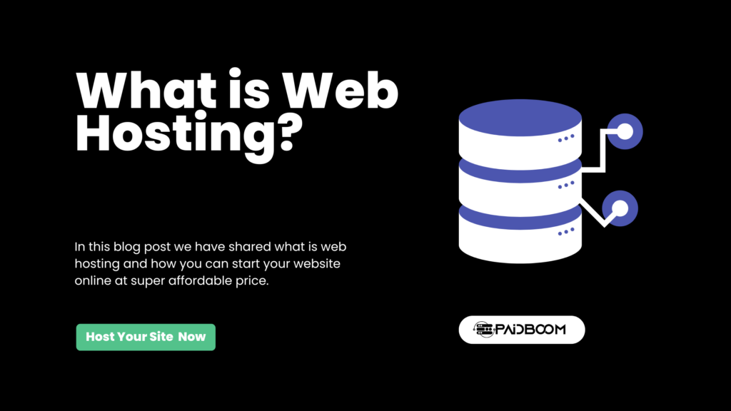 What is Web Hosting?